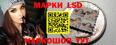 мяу мяу мука Будённовск