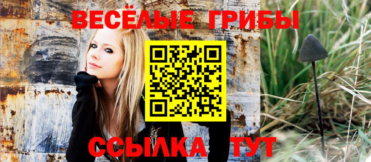 Псилоцибиновые грибы мухоморы Ртищево