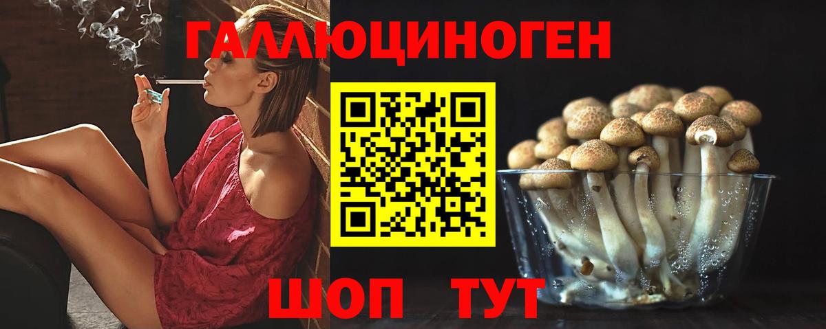 Ртищево  купить  сайты  Вход с VPN  Галлюциногенные грибы GOLDEN TEACHER 